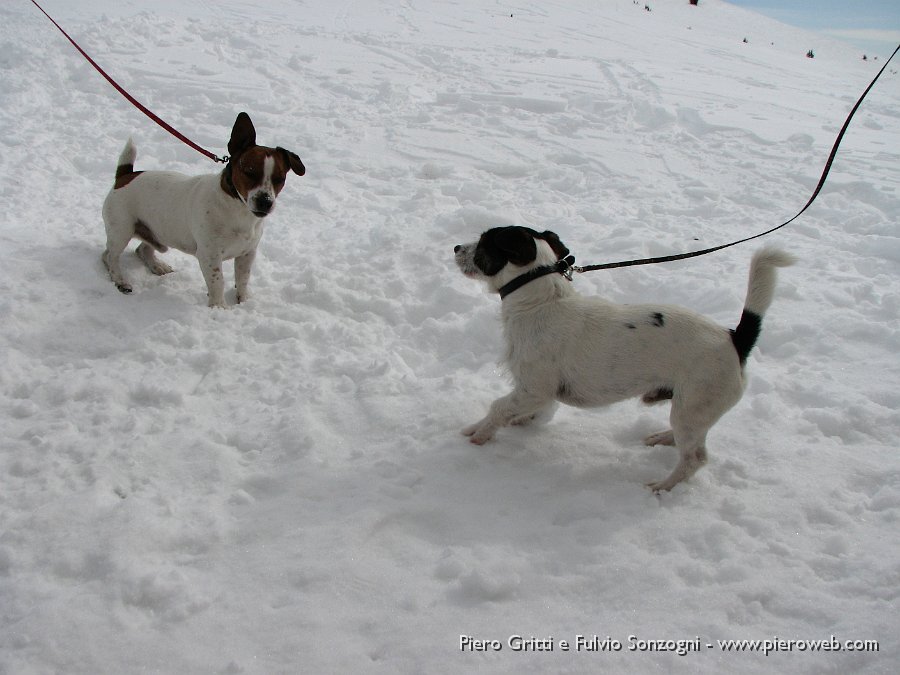 15 Teddy e Snoopy.jpg